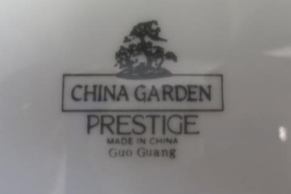 Set of 2 China Garden Prestige Floral Print Etched Glass 10.5" Dinner Plates