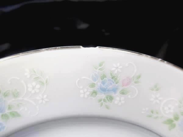Set of 2 China Garden Prestige Floral Print Etched Glass 10.5" Dinner Plates