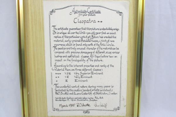 Framed Peo Scotte And Lena Cederlof Betula Verrucosa Bark Art Piece "Cleopatra"