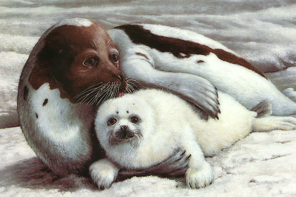 Wonders of the Sea - Warm Embrace 1991 W.S. George Plate #3 w/ COA