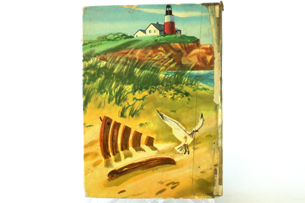 1954 Whitman Hard Cardboard Bound The Bobbsey Twins At The Seashore