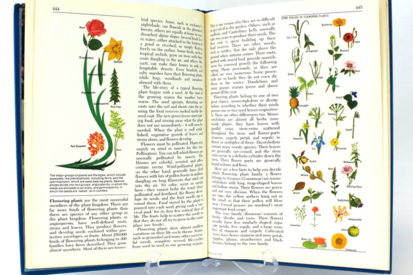 1972 Harver Junior Encyclopedia Volume 6 Fencing - Gravitation