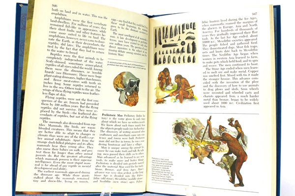 1972 Harver Junior Encyclopedia Volume 12 Poland - Rockefeller