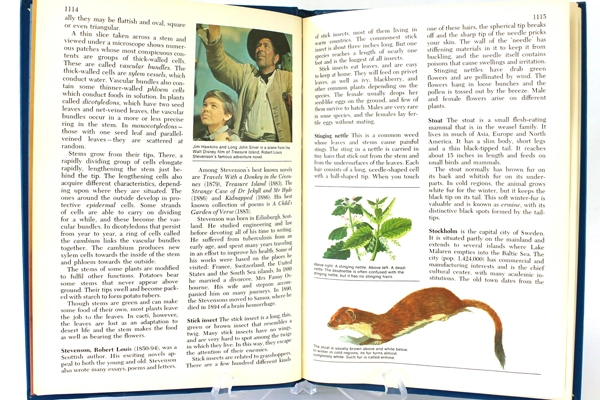 1972 Harver Junior Encyclopedia Volume 14 South Africa - Turks