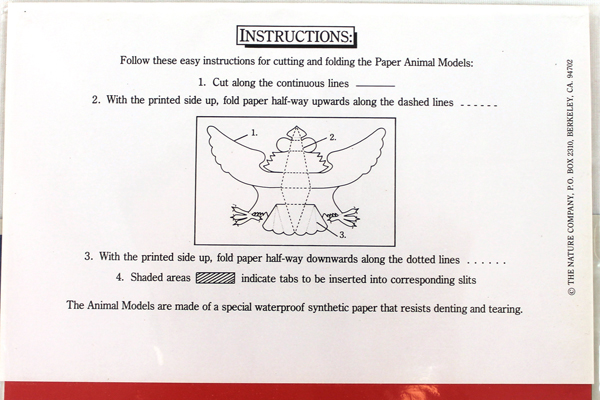 Nature Company Six 3D Cut and Fold Paper Animal Models Set #2