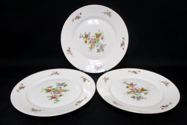 Bohemia Czechoslovakia Donatello Pattern Floral 3 Salad and 3 Dinner Plates