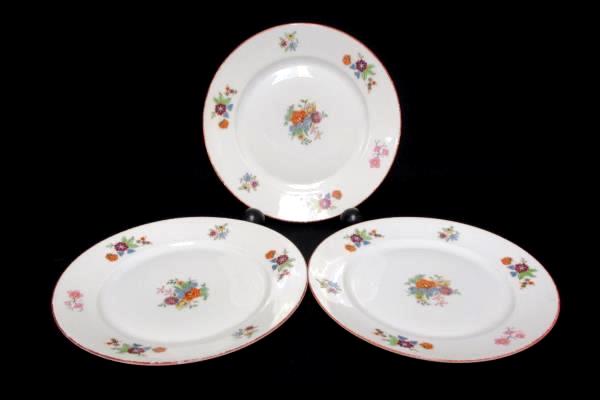 Bohemia Czechoslovakia Donatello Pattern Floral 3 Salad and 3 Dinner Plates