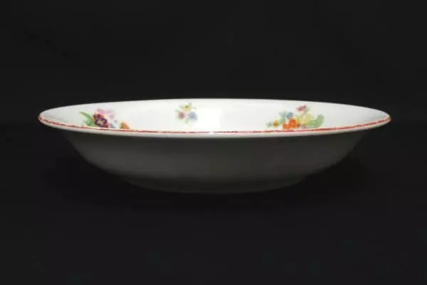 Bohemia Replacement China Soup Bowl 2 Salad Plate Donatello Floral Pattern Czech