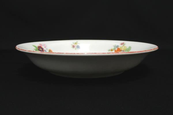 Replacements Bohemia Czechoslovakia Donatello Pattern Floral Bowl 2 Salad Plates
