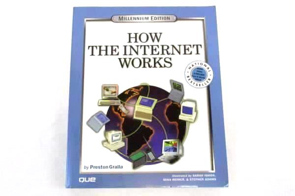 1999 How the Internet Works: Millennium Edition by Preston Galla (Softcover)
