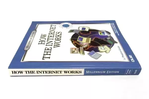 1999 How the Internet Works: Millennium Edition by Preston Galla (Softcover)