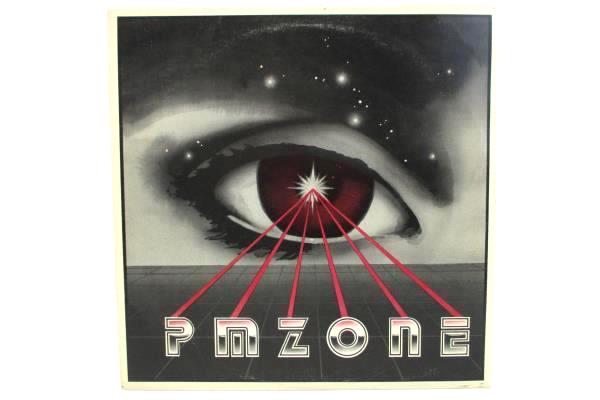 PM Zone LP 33 RPM "PM Zone" Brandy-O Records 1984 12" Record
