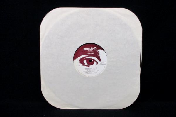 PM Zone LP 33 RPM "PM Zone" Brandy-O Records 1984 12" Record