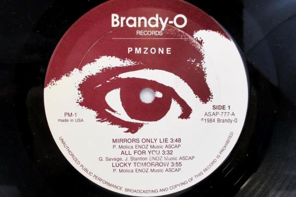 PM Zone LP 33 RPM "PM Zone" Brandy-O Records 1984 12" Record