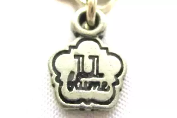 U BLUME Be Bold Chain Necklace & Earring Set with Satchel