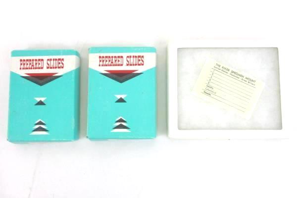 Lot of 2 Prepared Slides Microscope Plants Insects & White Riker Box