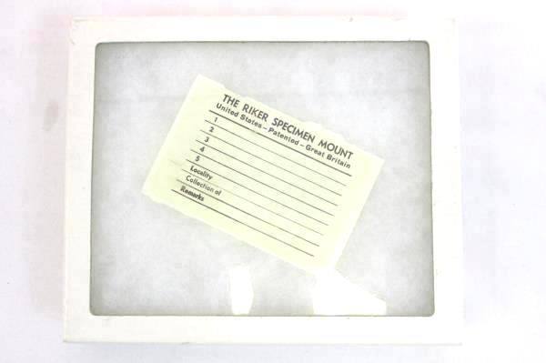 Lot of 2 Prepared Slides Microscope Plants Insects & White Riker Box