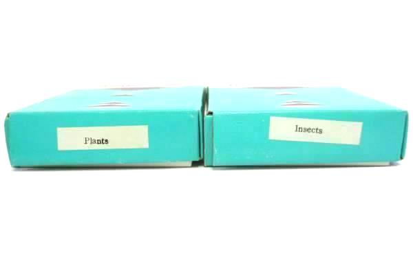 Lot of 2 Prepared Slides Microscope Plants Insects & White Riker Box