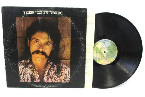 Jesse Colin Young "Song For Juli" Vinyl LP 33 RPM