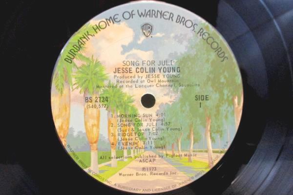 Jesse Colin Young "Song For Juli" Vinyl LP 33 RPM
