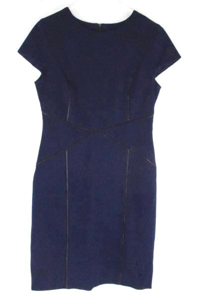 Cynthia Steffe Women's Sleeveless Blue Dress w/ Zip Back Size 8