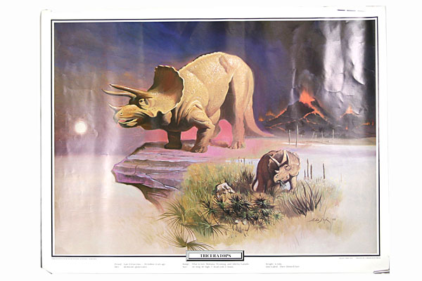 1988 Hastings Museum Foundation - Three Horned Face Triceratops - JOHN SUH