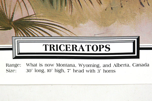 1988 Hastings Museum Foundation - Three Horned Face Triceratops - JOHN SUH