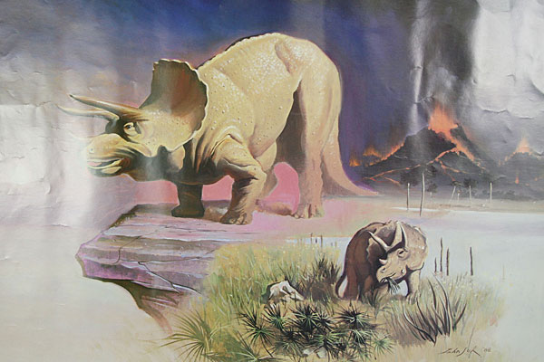 1988 Hastings Museum Foundation - Three Horned Face Triceratops - JOHN SUH