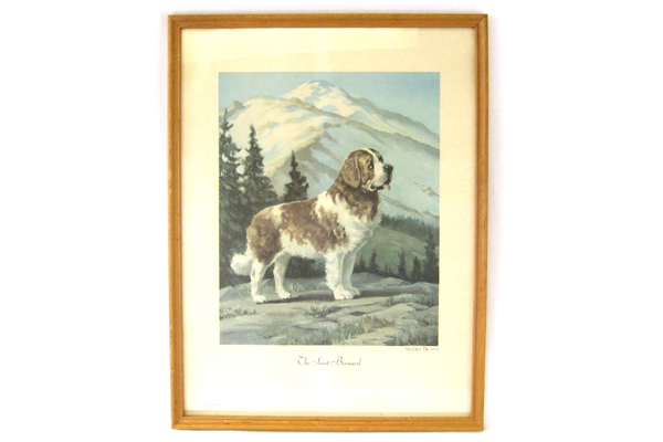 1955 The Saint Bernard Print By Wesley Dennis