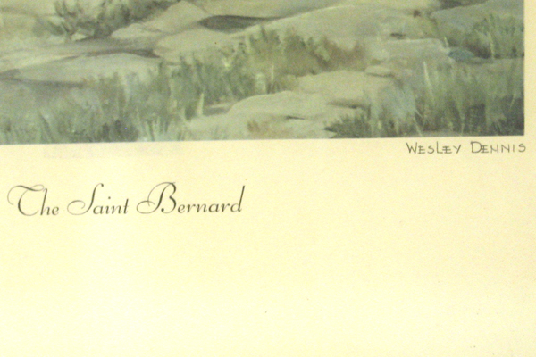 1955 The Saint Bernard Print By Wesley Dennis
