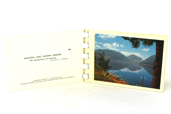 Lot Of Two Vintage Photo Booklets Scenic Eastern Oregon And San Francisco
