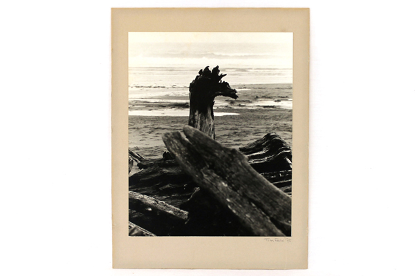 Driftwood Ocean Photo By Tim Ford Dated 1975 Mounted and Ready To Frame