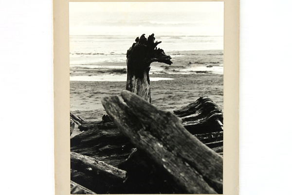 Driftwood Ocean Photo By Tim Ford Dated 1975 Mounted and Ready To Frame