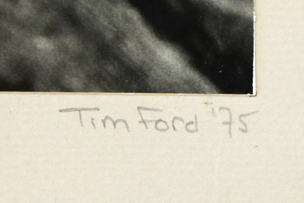 Driftwood Ocean Photo By Tim Ford Dated 1975 Mounted and Ready To Frame