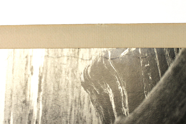 Driftwood Ocean Photo By Tim Ford Dated 1975 Mounted and Ready To Frame
