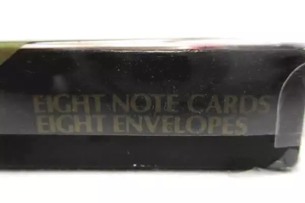 2 Boxes Of Eight Contempo Santa Note Cards With Envelopes