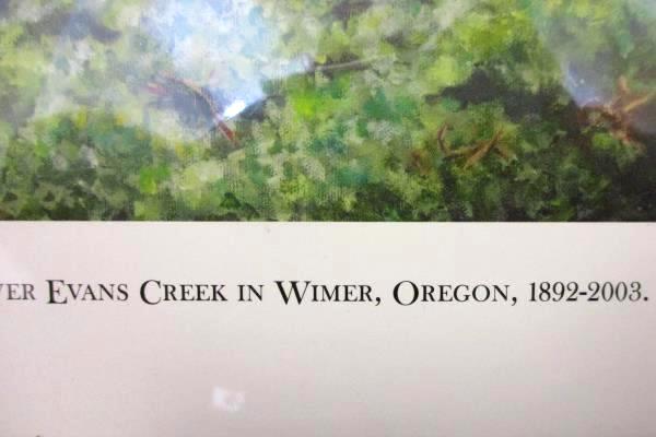 Historical Covered Bridge Evans Creek Wimer Oregon 1892-2003 Print Mary Geller