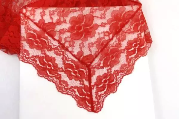 Vintage NORMANDY Red Lace Tablecloth 52" Square with Liner Floral Holiday Party