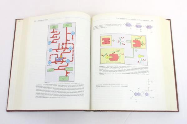 Human Pharmacology: Molecular to Clinical HC 1991 Mosby Year Book